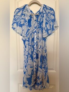 Anthropologie Blue & White Floral Button-Front Dress
